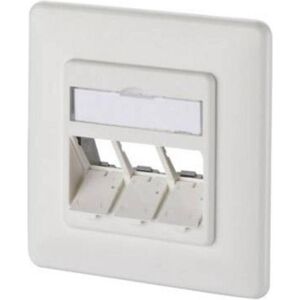 Metz Connect, Programma di commutazione degli accessori, 130B20D31002KE Keystone 3Port DE UP vuoto bianco puro Scatola di giunzione Metz Connect, Programma di commutazione degli accessori, 130B20D31002KE Keystone 3Port DE UP vuoto bianco puro Scatola di giunzione