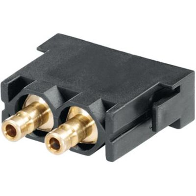 Inserto pneumatico Weidmüller 1894710000 - HDC CM 2 - Connettori Inserto pneumatico Weidmüller 1894710000 - HDC CM 2 - Connettori