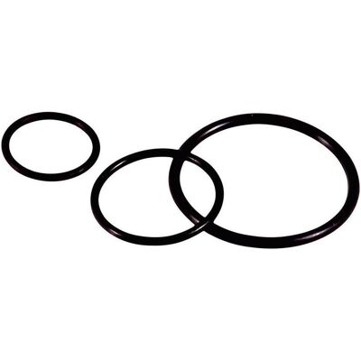 LappKabel 53102010 O-ring in Nitrile M16 - 100 pz LappKabel 53102010 O-ring in Nitrile M16 - 100 pz