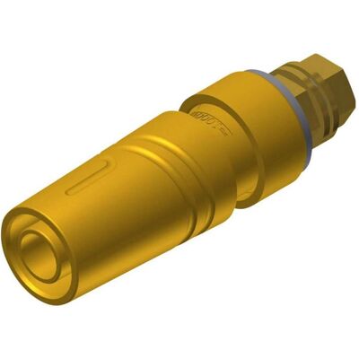 SKS SAB 2600 G M4 Au Presa di sicurezza da laboratorio Presa, installazione verticale Pin-Ø: 4 mm, Cavo + Spina elettrica, Giallo SKS SAB 2600 G M4 Au Presa di sicurezza da laboratorio Presa, installazione verticale Pin-Ø: 4 mm, Cavo + Spina elettrica, Giallo