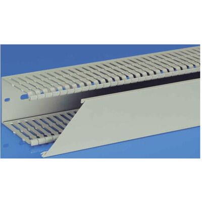 RS PRO Canalina F2000 40x80 - Canalina RS PRO Canalina F2000 40x80 - Canalina
