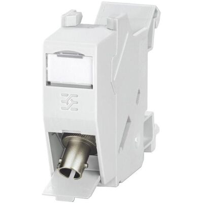 Weidmüller Guida montaggio connettore ST (Vari), Modulo elettronico Weidmüller Guida montaggio connettore ST (Vari), Modulo elettronico