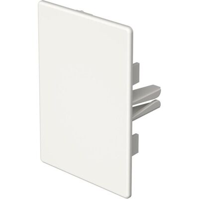 OBO Bettermann WDKH-E60090RW - Piastra terminale - Bianco - 60x90mm - Piastra terminale OBO Bettermann WDKH-E60090RW - Piastra terminale - Bianco - 60x90mm - Piastra terminale