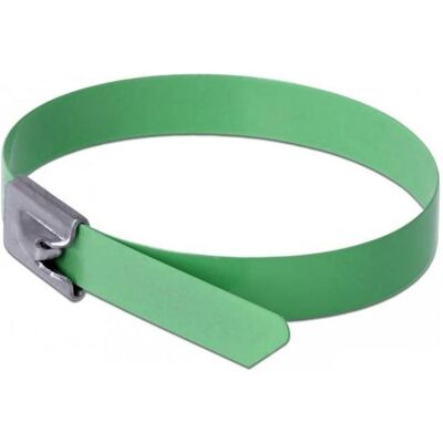 Delock, Fascette, Fascetta in acciaio inossidabile 200x7,9 10 pezzi. (200 mm, 10 pz.) Delock, Fascette, Fascetta in acciaio inossidabile 200x7,9 10 pezzi. (200 mm, 10 pz.)