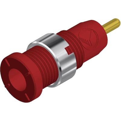 Hirschmann MSEB 2630 S 1.9 Au Presa di sicurezza da laboratorio da incasso verticale Pin-O 2 mm rosso, Cavo + Spina elettrica, Rosso Hirschmann MSEB 2630 S 1.9 Au Presa di sicurezza da laboratorio da incasso verticale Pin-O 2 mm rosso, Cavo + Spina elettrica, Rosso