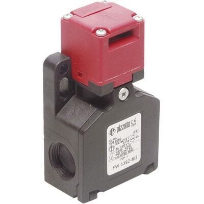 Pizzato Elettrica fw 3492-M2 Interruttore di sicurezza - IP67, 250V/AC, 6A Pizzato Elettrica fw 3492-M2 Interruttore di sicurezza - IP67, 250V/AC, 6A