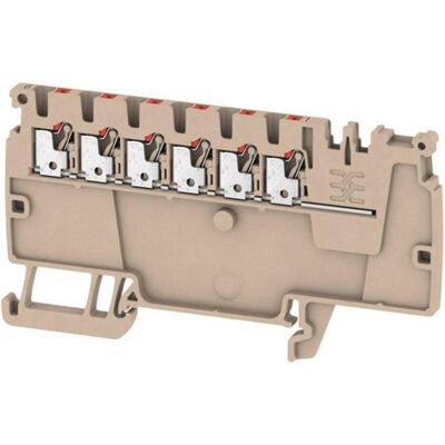 Weidmüller AAP11 1.5 LI RD (Morsettiere), Accessori di elettronica + Alloggiamento, Beige Weidmüller AAP11 1.5 LI RD (Morsettiere), Accessori di elettronica + Alloggiamento, Beige