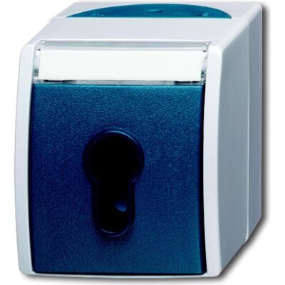 Busch-Jaeger Interruttore a chiave 2733SLW-53 oceano 2733SLW-53 (1101-0-0917), Pulsante + Interruttore, Blu, Grigio Busch-Jaeger Interruttore a chiave 2733SLW-53 oceano 2733SLW-53 (1101-0-0917), Pulsante + Interruttore, Blu, Grigio