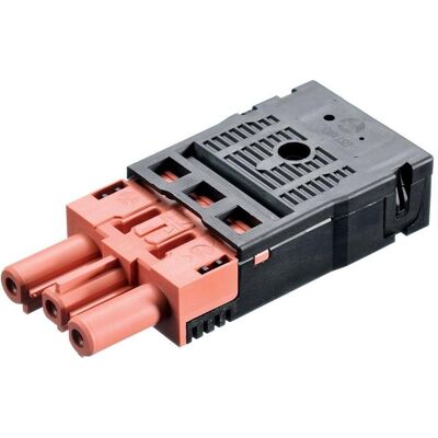 Bachmann, Spina + Connettore, Connettori a filo Wieland Bachmann, Spina + Connettore, Connettori a filo Wieland
