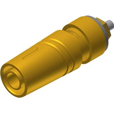 SKS SAB 2640 LK Au Presa di sicurezza da laboratorio Presa, installazione verticale Pin-Ø: 4 mm Giallo, Cavo + Spina elettrica, Giallo SKS SAB 2640 LK Au Presa di sicurezza da laboratorio Presa, installazione verticale Pin-Ø: 4 mm Giallo, Cavo + Spina elettrica, Giallo