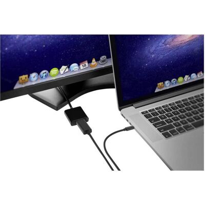 Renkforce Adattatore Cavo USB-C a Mini DisplayPort 5m Nero - DisplayPort Renkforce Adattatore Cavo USB-C a Mini DisplayPort 5m Nero - DisplayPort