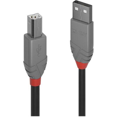 Lindy USB/A-USB/B M-M (0.50 m, USB 2.0), Cavo USB Lindy USB/A-USB/B M-M (0.50 m, USB 2.0), Cavo USB