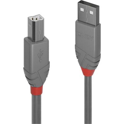 Lindy USB A - USB B (5 m, USB 2.0), Cavo USB Lindy USB A - USB B (5 m, USB 2.0), Cavo USB