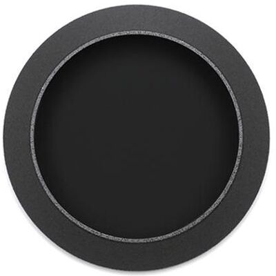 DJI Filtro Zenmuse X4S ND16 (P09) (Filtri per droni), Accessori per drone, Nero DJI Filtro Zenmuse X4S ND16 (P09) (Filtri per droni), Accessori per drone, Nero