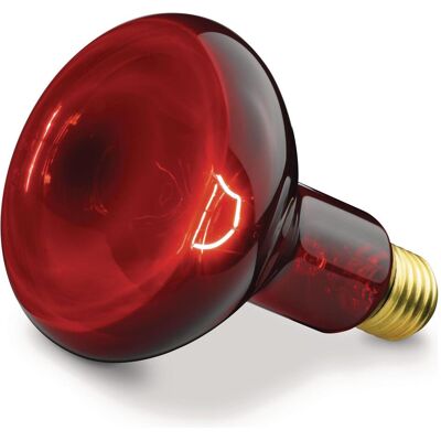 Beurer, Lampada infrarossi, Ersatzstrahler IL 11 (100 W) Beurer, Lampada infrarossi, Ersatzstrahler IL 11 (100 W)