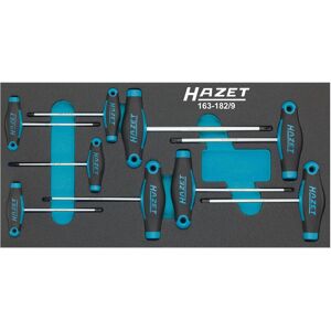 HAZET, Cacciavite, Serie di giraviti ∙ con impugnatura a T 163-182/9 ∙ Profilo interno TORX ∙ T6 ∙ T7 ∙ T8 ∙ T9… (TX) HAZET, Cacciavite, Serie di giraviti ∙ con impugnatura a T 163-182/9 ∙ Profilo interno TORX ∙ T6 ∙ T7 ∙ T8 ∙ T9… (TX)