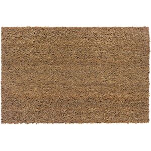 Astra, Zerbino, Cocco (60 x 40 cm) Astra, Zerbino, Cocco (60 x 40 cm)