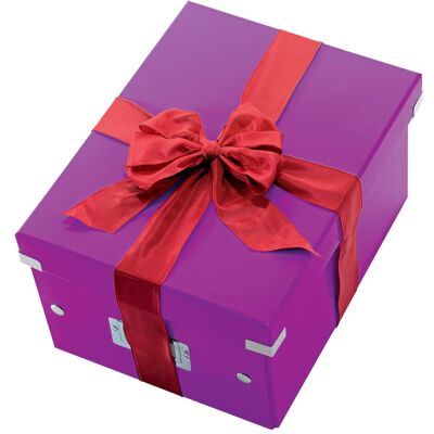Leitz, Archiviazione di documenti, Click&Store - Cubo (Speciale) Leitz, Archiviazione di documenti, Click&Store - Cubo (Speciale)