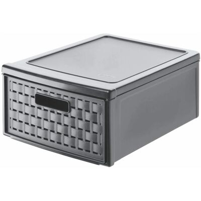 Rotho, Box portaoggetti, Paese (26 cm, 8.30 l, 1x) Rotho, Box portaoggetti, Paese (26 cm, 8.30 l, 1x)