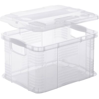 Rotho, Box portaoggetti, Agilo (1 l, 1x, 40 x 29.50 x 4 cm) Rotho, Box portaoggetti, Agilo (1 l, 1x, 40 x 29.50 x 4 cm)