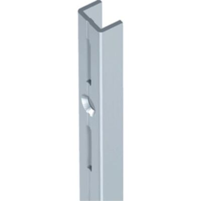 Sistema Elemento Gancio Parete 1000mm Argento - Gancio Parete Sistema Elemento Gancio Parete 1000mm Argento - Gancio Parete