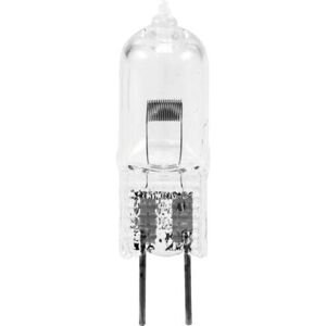 Omnilux Apparecchio di illuminazione alogena ad effetto luce (150 W, G6.35), Lampadine + Fari Illuminotecnica Omnilux Apparecchio di illuminazione alogena ad effetto luce (150 W, G6.35), Lampadine + Fari Illuminotecnica
