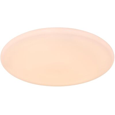 Luce da soffitto LED Globo Lighting Rena - RGB, Dimmable, Smart Home Luce da soffitto LED Globo Lighting Rena - RGB, Dimmable, Smart Home