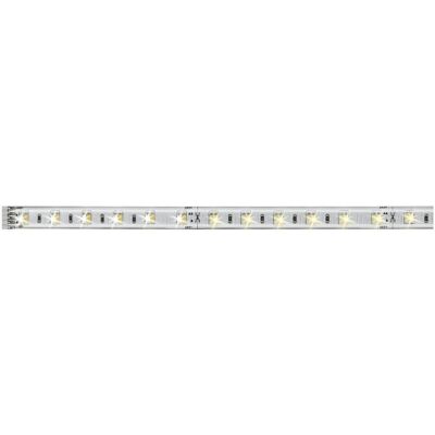 Paulmann, Striscia LED, Striscia MaxLED da 1 m (Bianco caldo, Luce del giorno, 100 cm, Interno) Paulmann, Striscia LED, Striscia MaxLED da 1 m (Bianco caldo, Luce del giorno, 100 cm, Interno)