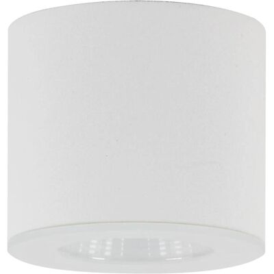 Helestra Modello 15/1553.07 Luce da Soffitto LED - Bianco - Dimmerabile Helestra Modello 15/1553.07 Luce da Soffitto LED - Bianco - Dimmerabile