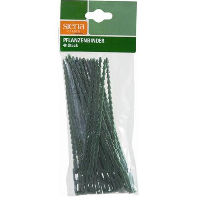 Siena Garden, Accessori per piante, Raccoglitore di piante (17 cm, 0.80 cm) Siena Garden, Accessori per piante, Raccoglitore di piante (17 cm, 0.80 cm)
