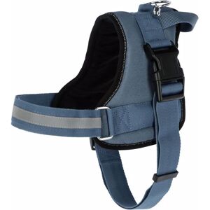 Kerbl Hundegeschirr Maestro 20 (Cane, Sport cane), Collare + Guinzaglio Kerbl Hundegeschirr Maestro 20 (Cane, Sport cane), Collare + Guinzaglio