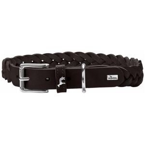 Hunter Collare Solido Educazione Speciale (Cane), Collare + Guinzaglio Hunter Collare Solido Educazione Speciale (Cane), Collare + Guinzaglio