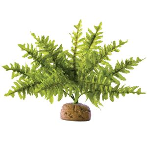Exo Terra Felce di Boston S, Decorazione terrario Exo Terra Felce di Boston S, Decorazione terrario