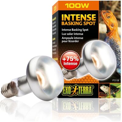 Exo Terra Lampada Sun Glo Heat Spot TB 100W (UVA), Illuminazione terrario Exo Terra Lampada Sun Glo Heat Spot TB 100W (UVA), Illuminazione terrario