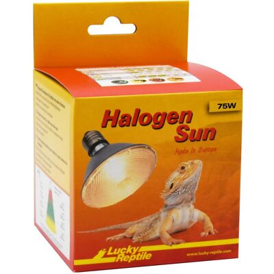 Lucky Reptile Halogen Sun 75W - Luce per Terrario Lucky Reptile Halogen Sun 75W - Luce per Terrario