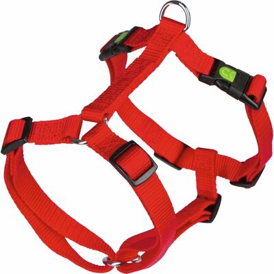 Imbracatura per cani Kerbl Miami - Colori vivaci, Impermeabile, 5 Regolazioni Imbracatura per cani Kerbl Miami - Colori vivaci, Impermeabile, 5 Regolazioni