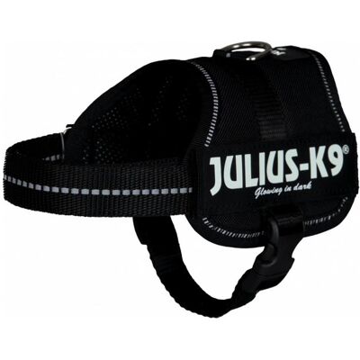 Julius-K9 Imbracatura per cani di piccola taglia ergonomica (XS, Cane, Sport cane), Collare + Guinzaglio Julius-K9 Imbracatura per cani di piccola taglia ergonomica (XS, Cane, Sport cane), Collare + Guinzaglio