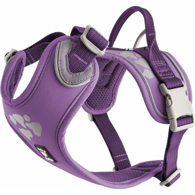 Hurtta Imbracatura Weekend Warrior, viola (L, Cane, Generale), Collare + Guinzaglio Hurtta Imbracatura Weekend Warrior, viola (L, Cane, Generale), Collare + Guinzaglio