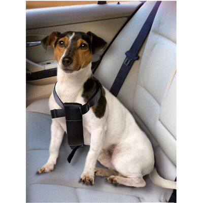 Karlie Imbracatura per cani da auto (Cane), Trasporto animali Karlie Imbracatura per cani da auto (Cane), Trasporto animali
