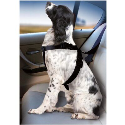 Karlie Imbracatura per cani da auto (Cane, Chiudibile a chiave, Pieghevole), Trasporto animali Karlie Imbracatura per cani da auto (Cane, Chiudibile a chiave, Pieghevole), Trasporto animali