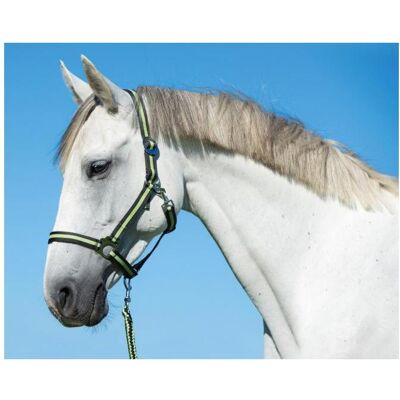 Kerbl, Cavezza Kerbl, Cavezza