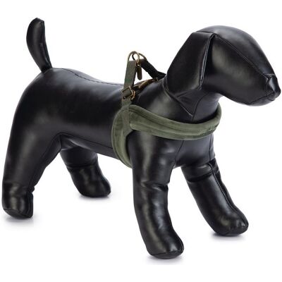 Designed by Lotte Velura (L, M, S, XS, XXS, Cane, Passeggiare), Collare + Guinzaglio Designed by Lotte Velura (L, M, S, XS, XXS, Cane, Passeggiare), Collare + Guinzaglio