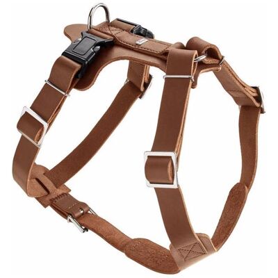 Hunter Stoviglie Aalborg (XS, Cane, Passeggiare), Collare + Guinzaglio Hunter Stoviglie Aalborg (XS, Cane, Passeggiare), Collare + Guinzaglio