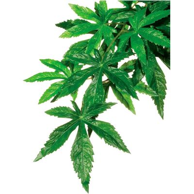 Exo Terra Pianta della giungla Abutilon M, Decorazione terrario Exo Terra Pianta della giungla Abutilon M, Decorazione terrario