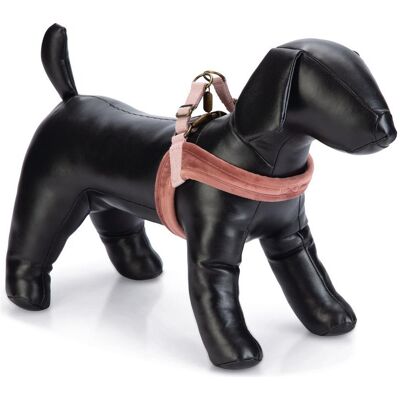 Designed by Lotte Velura (L, M, S, XS, XXS, Cane, Passeggiare), Collare + Guinzaglio Designed by Lotte Velura (L, M, S, XS, XXS, Cane, Passeggiare), Collare + Guinzaglio