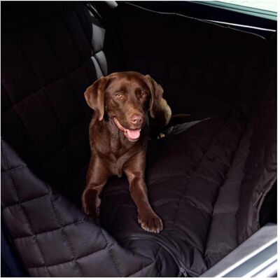 Copertura Sedile Auto Doctor Bark - Nero - Protegge Parte Posteriore e Laterale Copertura Sedile Auto Doctor Bark - Nero - Protegge Parte Posteriore e Laterale