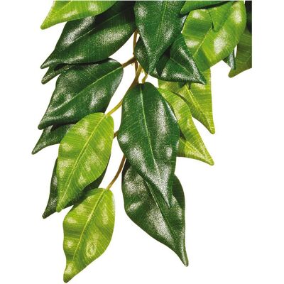 Exo Terra Pianta della giungla Fikus M, Decorazione terrario Exo Terra Pianta della giungla Fikus M, Decorazione terrario