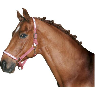 Kerbl, Strigliatura cavallo Kerbl, Strigliatura cavallo