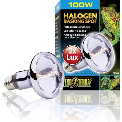 Exo Terra Lampada alogena Sun Glo Daylight 50W, Illuminazione terrario Exo Terra Lampada alogena Sun Glo Daylight 50W, Illuminazione terrario