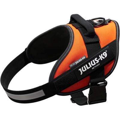 Julius-K9 Imbracatura IDC per cani più grandi ergonomica (M, Cane, Generale, Moto, Passeggiare, Sport cane), Collare + Guinzaglio Julius-K9 Imbracatura IDC per cani più grandi ergonomica (M, Cane, Generale, Moto, Passeggiare, Sport cane), Collare + Guinzaglio